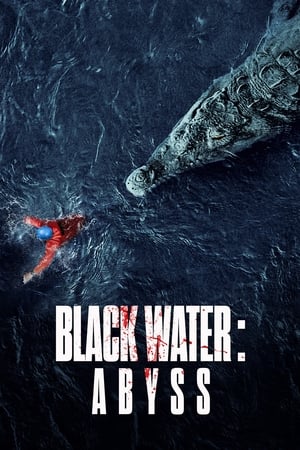 Black Water: Abyss (2020) Dual Audio | Dubbed Hindi Movie HDRip [950MB]