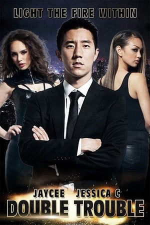 Double Trouble (2012) Dual Audio | Dubbed Hindi Movie BluRay [800MB]