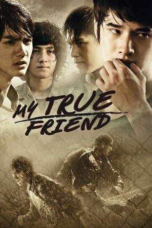 Friends Never Die (2012) Dubbed | Dubbed Hindi Movie HDRip [1.1GB]