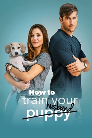 How to Train Your Husband 2018 Dual Audio | Dubbed Hindi Movie BluRay [1GB]