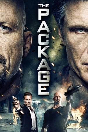 The Package (2013) Dual Audio | Dubbed Hindi Movie HDRip [750MB]